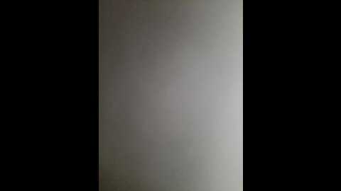 belsed @ bongacams on 20230904