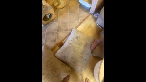 zhozhoba69 @ bongacams on 20230909