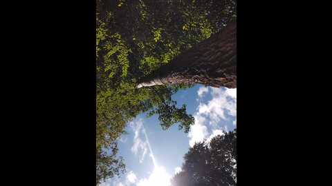 foxy_slut @ bongacams on 20230911