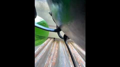 l4dycandy @ bongacams on 20230912