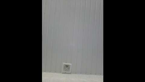 fina771 @ bongacams on 20230913