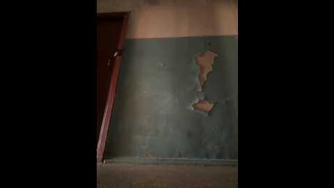 _molly_mae_ @ bongacams on 20230920