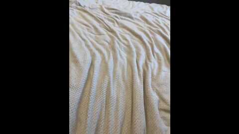 beboandbob1 @ bongacams on 20230924