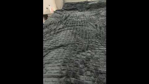 lana_rhoades @ bongacams on 20230924