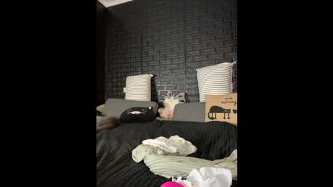 vero19nika @ bongacams on 20230929