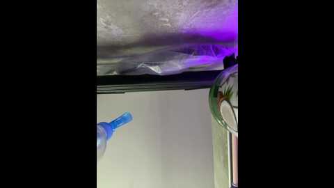 amarulla @ bongacams on 20231001