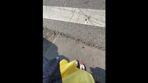 divora @ bongacams on 20231001