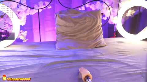 earlyflower @ bongacams on 20231001