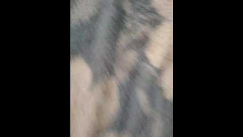 alexander0nataly @ bongacams on 20231002