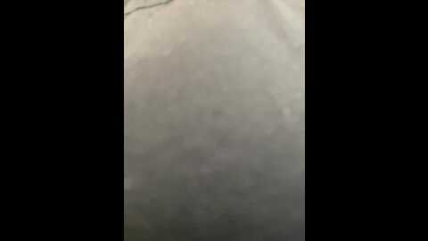 cutiekitty6 @ bongacams on 20231003