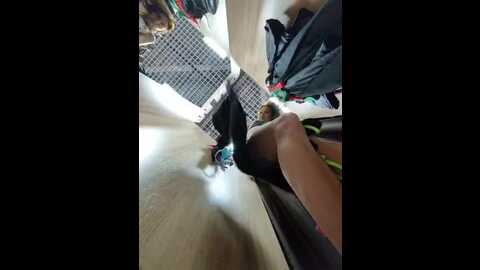 kitsune_alice @ bongacams on 20231008