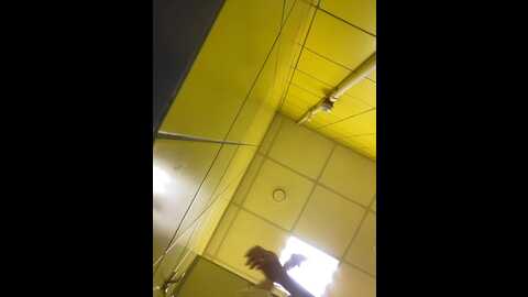 adelaida1001 @ bongacams on 20231009