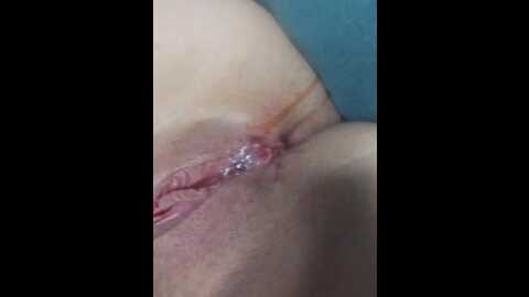 lika_132511