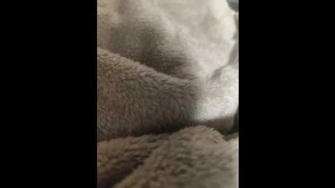 ds1002 @ bongacams on 20231010