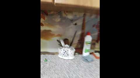 malinka1512 @ bongacams on 20231011