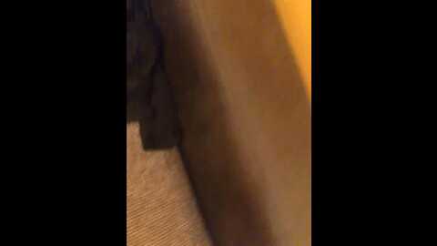 milkabum312 @ bongacams on 20231015