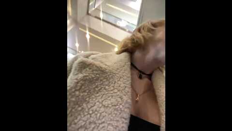 likachkaa @ bongacams on 20231016