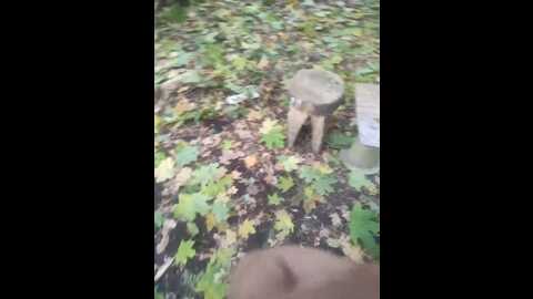 perepyganue @ bongacams on 20231018