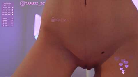taanni @ bongacams on 20231018