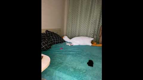 highhouse69 @ bongacams on 20231019