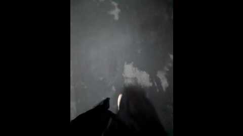 wettigress @ bongacams on 20231019