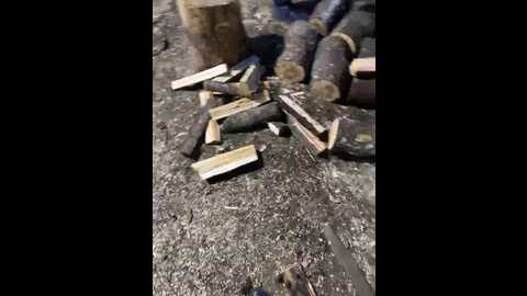 ds1002 @ bongacams on 20231023