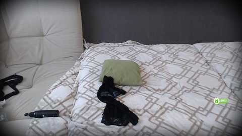 lovers_xxx @ bongacams on 20231023