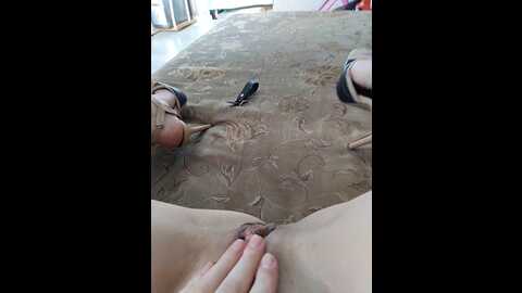 kissa1971 @ bongacams on 20231026