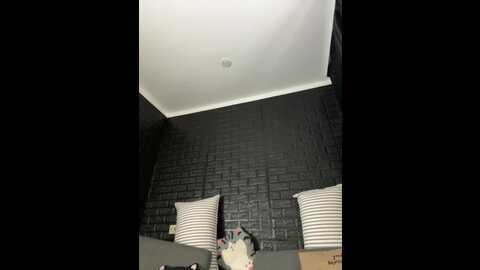 vero19nika @ bongacams on 20231026