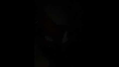 _breid_1 @ bongacams on 20231030