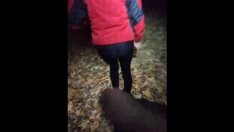 perepyganue @ bongacams on 20231030