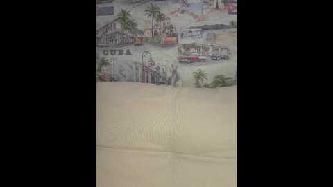 anesteishen @ bongacams on 20231102