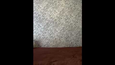 vii_vii_vii @ bongacams on 20231102