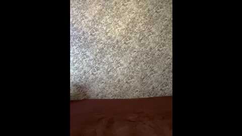 vii_vii_vii @ bongacams on 20231103