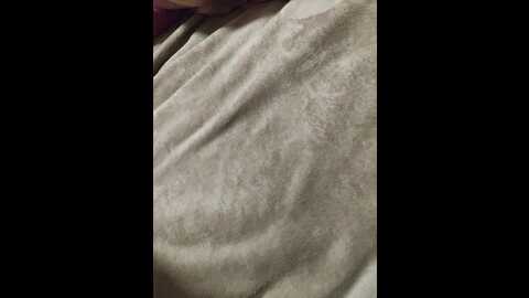 ds1002 @ bongacams on 20231105