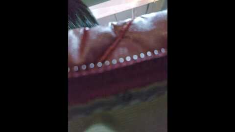 editamilf @ bongacams on 20231106