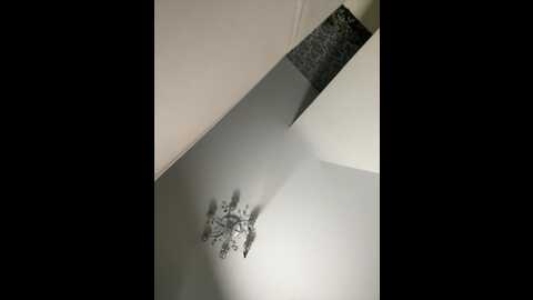 x_nastya_x @ bongacams on 20231106