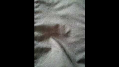 alenushka888 @ bongacams on 20231111