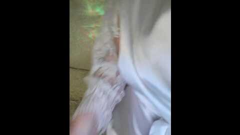 ___zima___ @ bongacams on 20231112