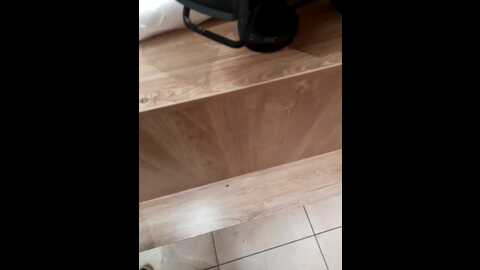 wettigress @ bongacams on 20231112