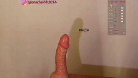 ogonechekkk @ bongacams on 20231115