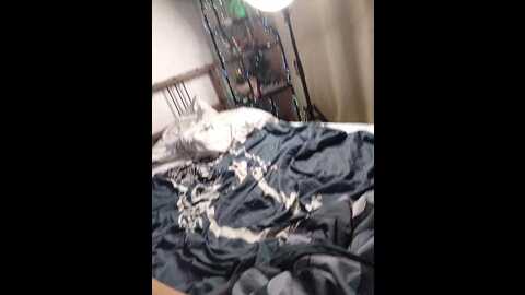 karadi4 @ bongacams on 20231119