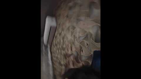 arina979797 @ bongacams on 20231120