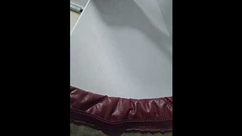 editamilf @ bongacams on 20231121