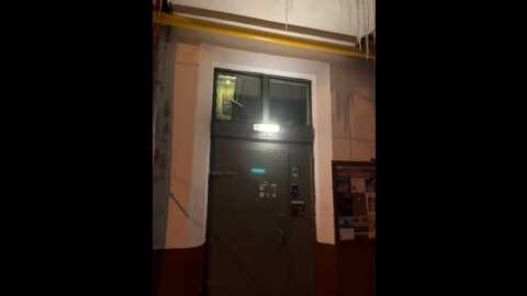 absinthegirl @ bongacams on 20231128