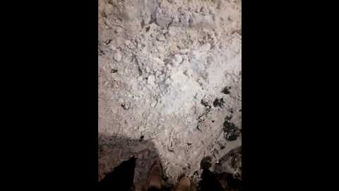 wettigress @ bongacams on 20231128