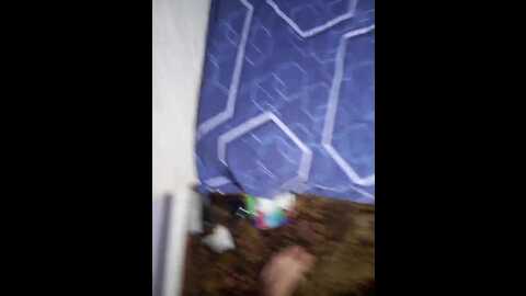 nastenka2021 @ bongacams on 20231130