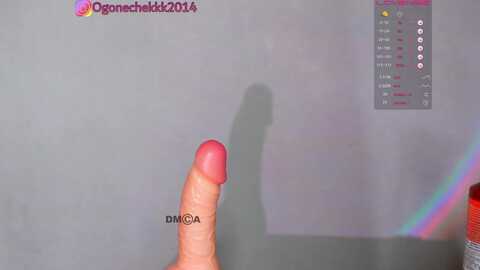ogonechekkk @ bongacams on 20231130