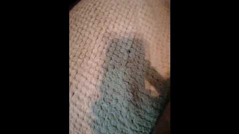 chasey_lain @ bongacams on 20231204