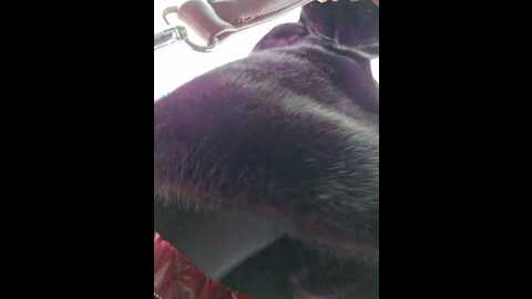 editamilf @ bongacams on 20231204